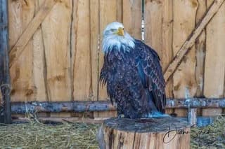 Bild ohne Beschreibung